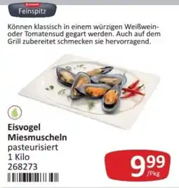 Kastner Eisvogel Miesmuscheln pasteurisiert Angebot
