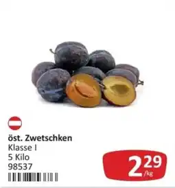 Kastner öst. Zwetschken Angebot