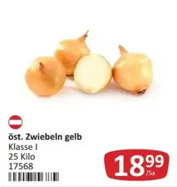Kastner öst. Zwiebeln gelb Angebot