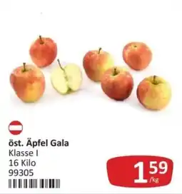 Kastner öst. Äpfel Gala Angebot