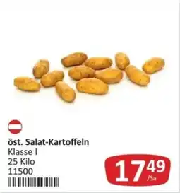 Kastner öst. Salat-Kartoffeln Angebot