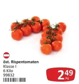 Kastner öst. Rispentomaten Angebot