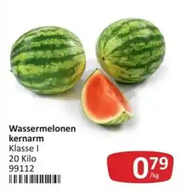 Kastner Wassermelonen kernarm Angebot