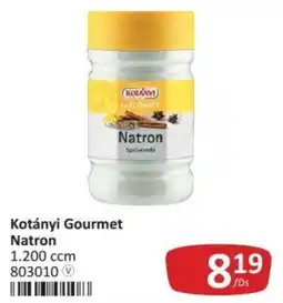 Kastner Kotányi Gourmet Natron Angebot