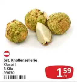Kastner öst. Knollensellerie Angebot