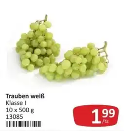 Kastner Trauben weiß Angebot