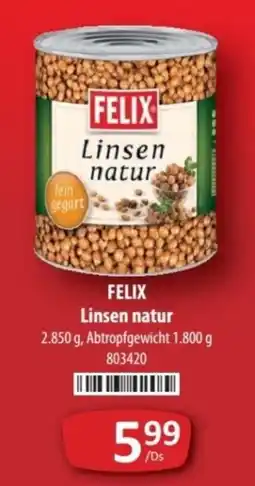 Kastner Felix Linsen natur Angebot