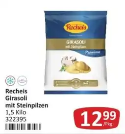 Kastner Recheis Girasoli mit Steinpilzen Angebot