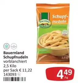 Kastner Bauernland Schupfnudeln Angebot
