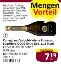 Kastner Conegliano Valdobbiadene Prosecco Superiore DOCG Extra Dry Angebot