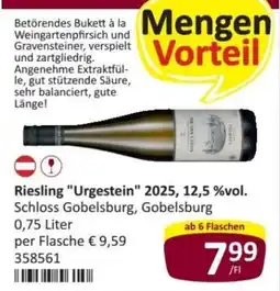 Kastner Riesling "Urgestein" 2025, Schloss Gobelsburg, Gobelsburg Angebot