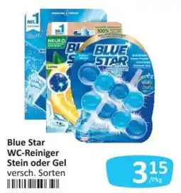 Kastner Blue Star WC-Reiniger Angebot