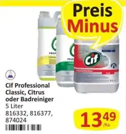 Kastner Cif Professional Classic, Citrus oder Badreiniger Angebot