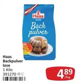 Kastner Haas Backpulver lose Angebot