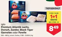 MPreis iglo Premium Atlantik Lachs, Dorsch, Zander, Black Tiger Garnelen oder Forelle Angebot