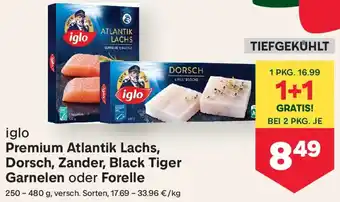 MPreis iglo Premium Atlantik Lachs, Dorsch, Zander, Black Tiger Garnelen oder Forelle Angebot