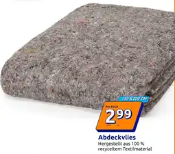 Action Abdeckvlies Angebot