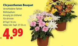 Lidl Chrysanthemen Bouquet Angebot