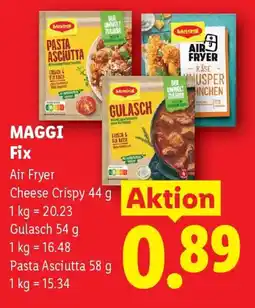 Lidl MAGGI Fix Angebot