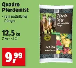 Thomas Philipps Quadro Pferdemist Angebot