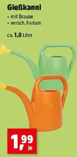 Thomas Philipps Gießkannl Angebot
