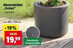 Thomas Philipps Blumenkübel „Kubus“ Angebot