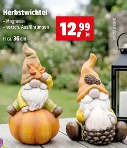 Thomas Philipps Herbstwichtel Magnesia Angebot
