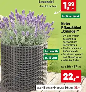 Keter Pflanzkübel „Cylinder“