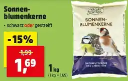 Thomas Philipps Birds Garden Sonnenblumenkerne Angebot