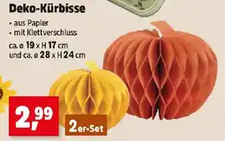 Thomas Philipps Deko-Kürbisse Angebot