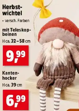 Thomas Philipps Herbstwichtel Angebot