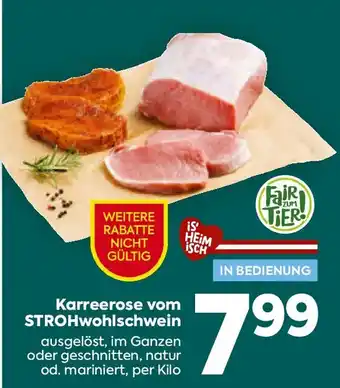 Billa Karreerose vom STROHwohlschwein Angebot