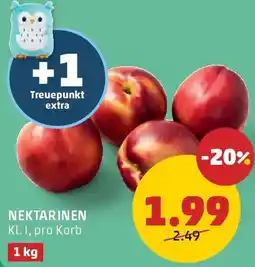 PENNY Nektarinen Angebot