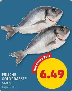 PENNY Frische goldbrasse Angebot