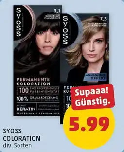 PENNY Syoss coloration Angebot