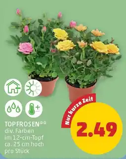 PENNY Top frosen Angebot