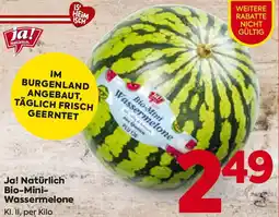 Billa Ja! Natürlich Bio-Mini Wassermelone Angebot