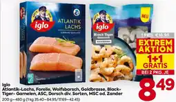 Billa Iglo Atlantik-Lachs, Forelle, Wolfsbarsch, Goldbrasse, Black Tiger-Garnelen, ASC, Dorsch Angebot