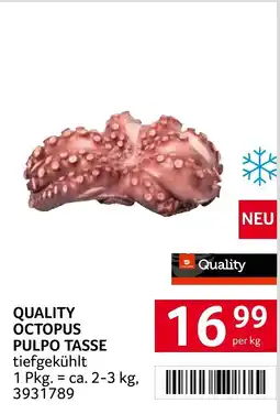 Transgourmet Quality Octopus Angebot