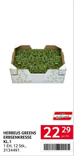 Transgourmet Herbeus Greens Erbsenkresse Angebot