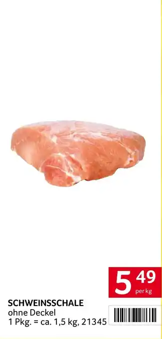 Schweinsschale ohne Deckel