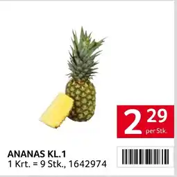 Transgourmet Ananas Angebot