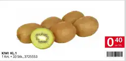 Transgourmet Kiwi Angebot
