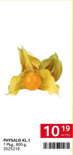 Transgourmet Physalis Kl. 1 Angebot