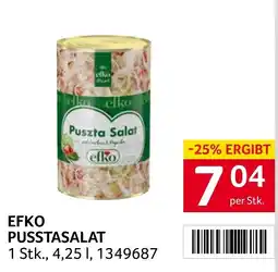 Transgourmet EfkO Puszta Salat Angebot