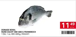 Transgourmet Dorade Royal Angebot