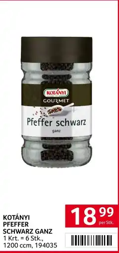 Transgourmet Kotányi Pfeffer Schwarz Ganz Angebot