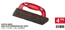 Transgourmet Scotch Brite Grillplattenreiniger mit Griff Angebot
