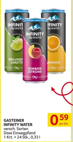 Transgourmet Gasteiner Infinity Water Angebot