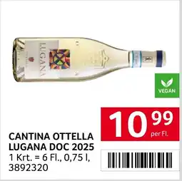 Transgourmet Cantina Ottella Lugana DOC Angebot